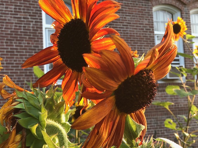 Icon retreat with Christine Hales at Holy Cross Monastery 2018